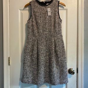 NWT! Loft Tweed A line Dress -